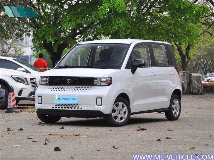 Baizhi Big Bear Elektrisch voertuig 15kwh 175KW EV CARS