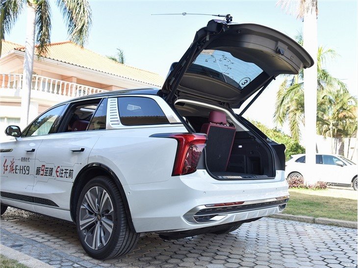 HongQi E-HS9