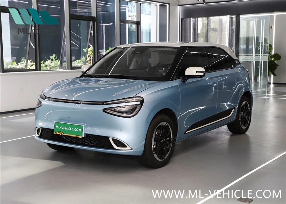 DongFeng Nammi 01