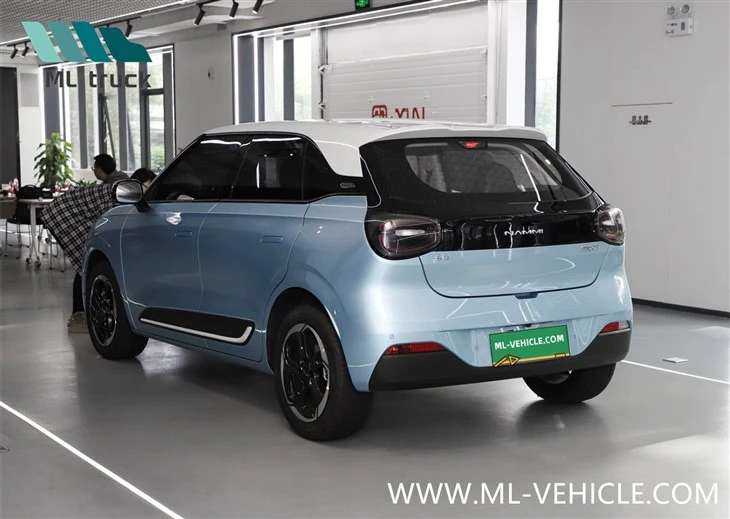 DongFeng Nammi 01