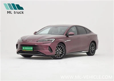 BYD-zegel DM-i