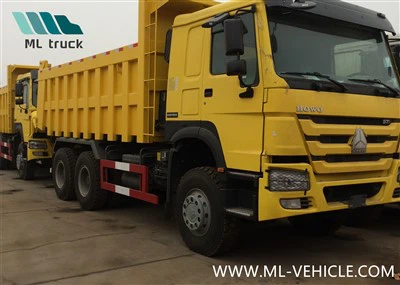 Sinotruck HOWO Heavy Duty Guyana 20cbm 6X4 6X6 8X8 Aangedreven op alle wielen Awd 380HP 400HP Weichai Dumper Kipper Kipper