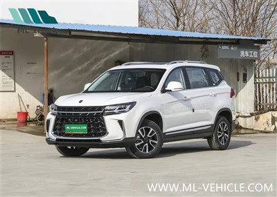 2024 DongFeng Forthing T5-SUV