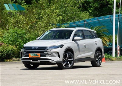 2025 BYD Zeeleeuw 05 DMi SUV