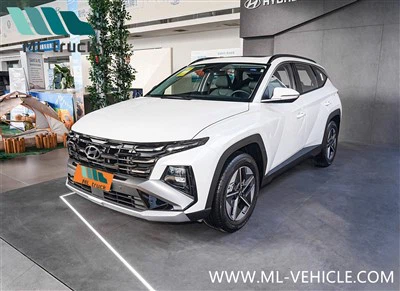 Hyundai Tucson L-SUV uit 2025